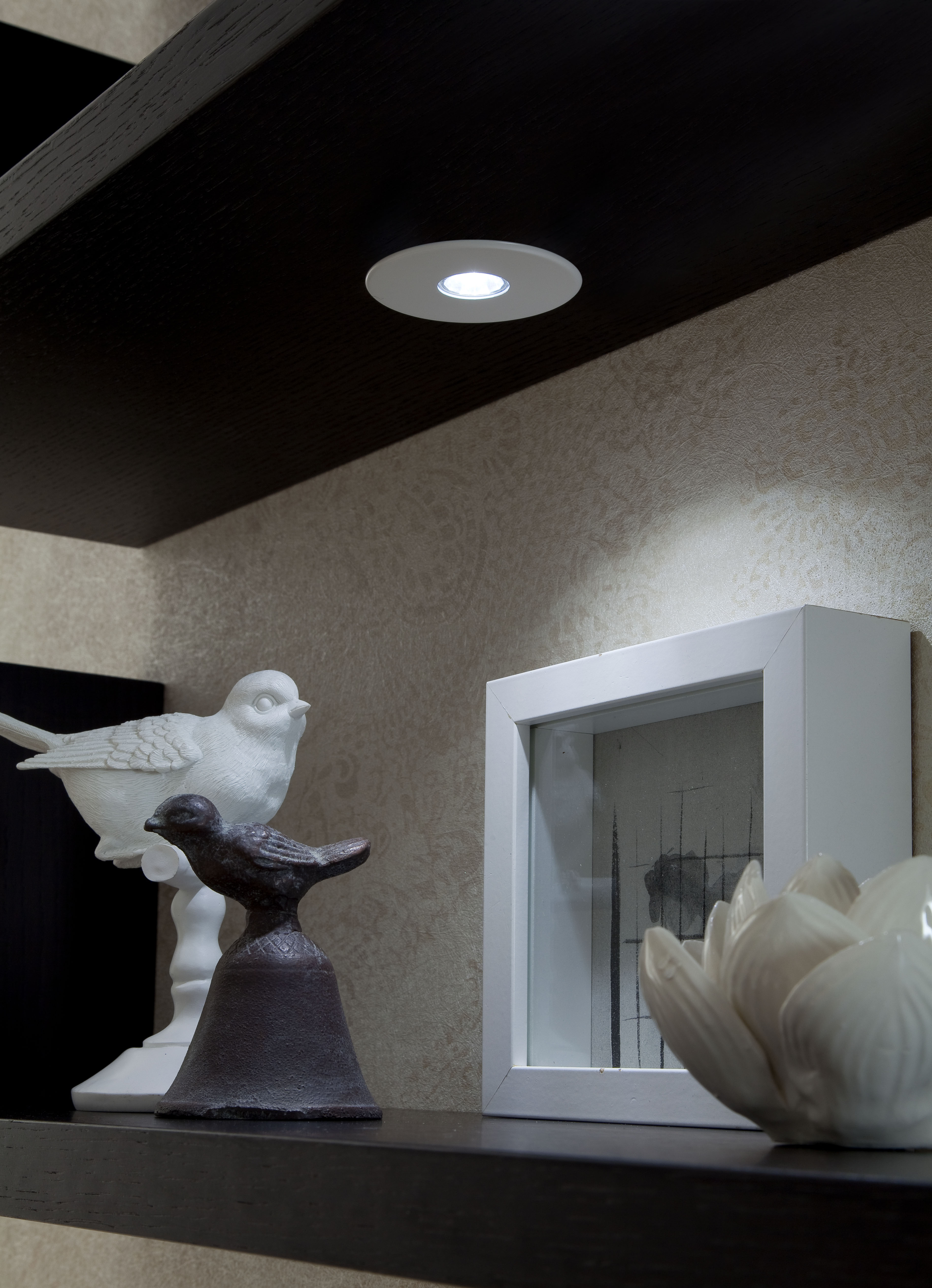LED spots - Superlight - RVS
